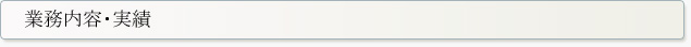 業務内容・実績